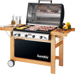 barbecue-profy4