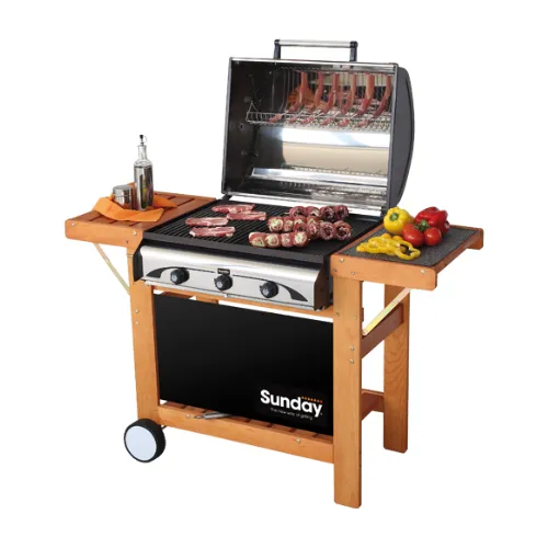 Churrasqueiras a Gás vs Carvão (2)