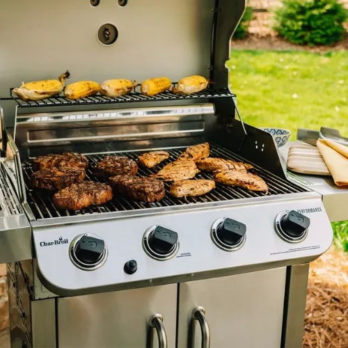 Churrasqueiras a Gás vs Carvão
